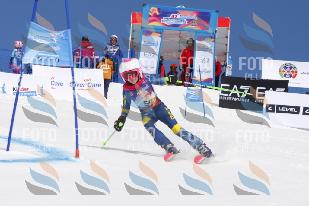 _W1G0852 | holidayphoto