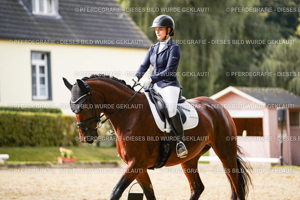 DSC09353 | Pferdegrafie