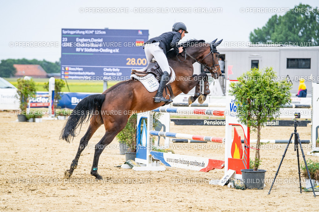 DSC07274 | Pferdegrafie