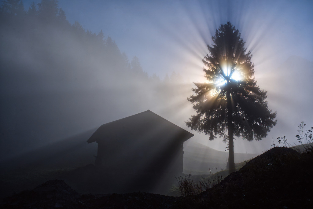 Morgennebel | In diesem Shop werden vorwiegend künstlerisch hochstehende Aufnahmen aus dem Bereich der Naturfotografie zum Verkauf angeboten. - In this store mainly artistic high quality shots from the field of nature photography are offered for sale. - Realisiert mit Pictrs.com