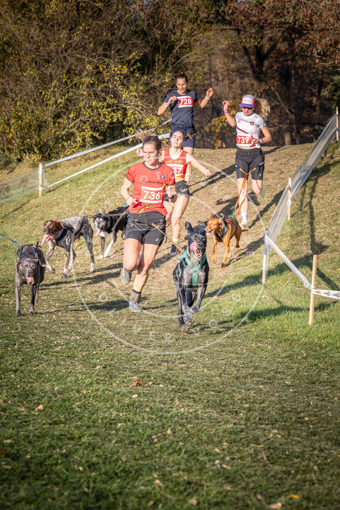 CaniXpix_0L8A9791 | Hundefotografie, Tierfotograf, Pfotenfotografie, Fotoshooting Hund, Hunde Portrait, Hundesport, Hundeportraits, Heideshooting, Hunde, Sportfotograf, Hundefotograf, Turnierhundsport, THS,  - Realisiert mit Pictrs.com