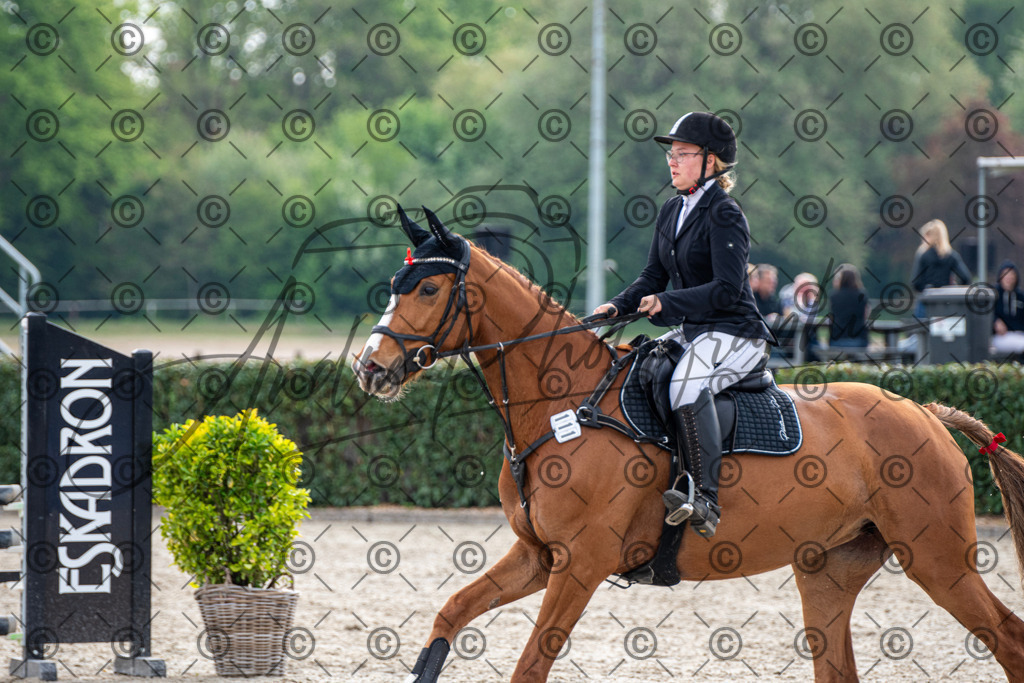 KPT_2185 | andre_photographic