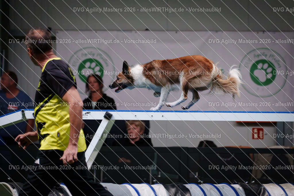 allesWIRTHgut_Tierfotografie-DVG_Agility_Masters_2026-16_52-7R508904 | Professionelle Tierfotografie in Mönchengladbach von Daniel Wirth (allesWIRTHgut). Liebevolle & natürliche Bilder von Hunden & Katzen für unvergessliche Erinnerungen.
