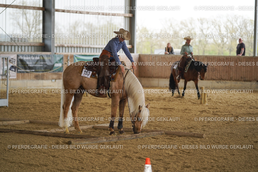 DSC06642 | Pferdegrafie