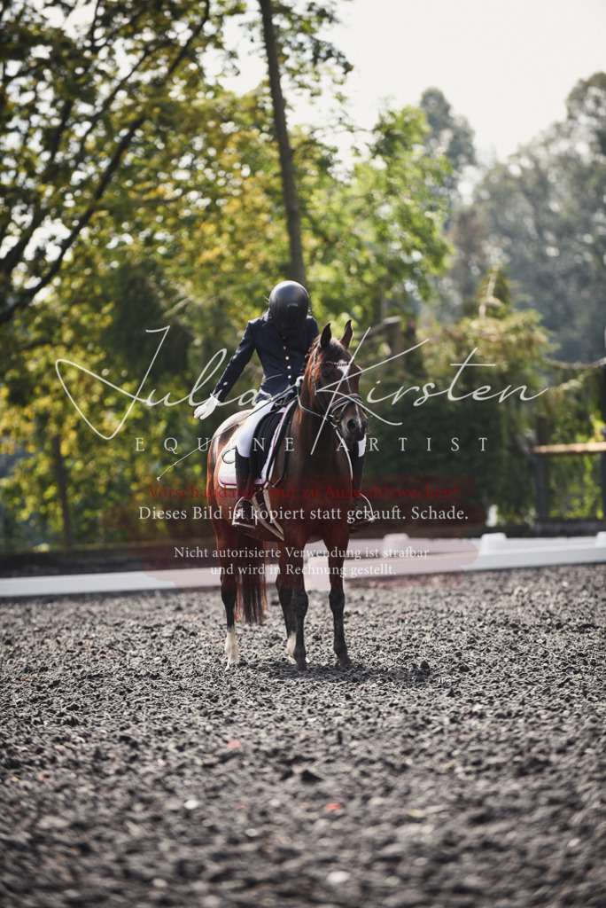 DSC_3682 | Pferde- und Turnierfotografie in Westsachsen. Pferdeportraits, Auftragszeichnungen und intuitive Kunst.