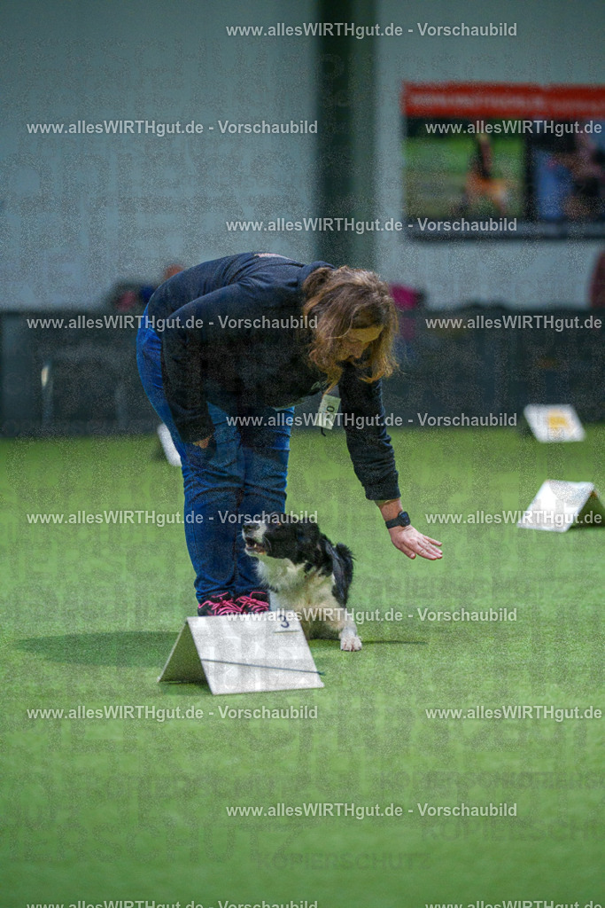 7R500615 | Professionelle Tierfotografie in Mönchengladbach von Daniel Wirth (allesWIRTHgut). Liebevolle & natürliche Bilder von Hunden & Katzen für unvergessliche Erinnerungen.