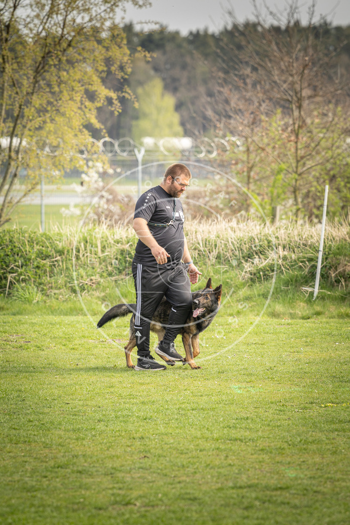 Pfotenfotografie_DV3A5030 | Hundefotografie, Tierfotograf, Pfotenfotografie, Fotoshooting Hund, Hunde Portrait, Hundesport, Hundeportraits, Heideshooting, Hunde, Sportfotograf, Hundefotograf, Turnierhundsport, THS,  - Realisiert mit Pictrs.com