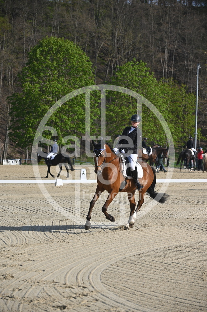 DSC_9962 | sattelsport - Realisiert mit Pictrs.com