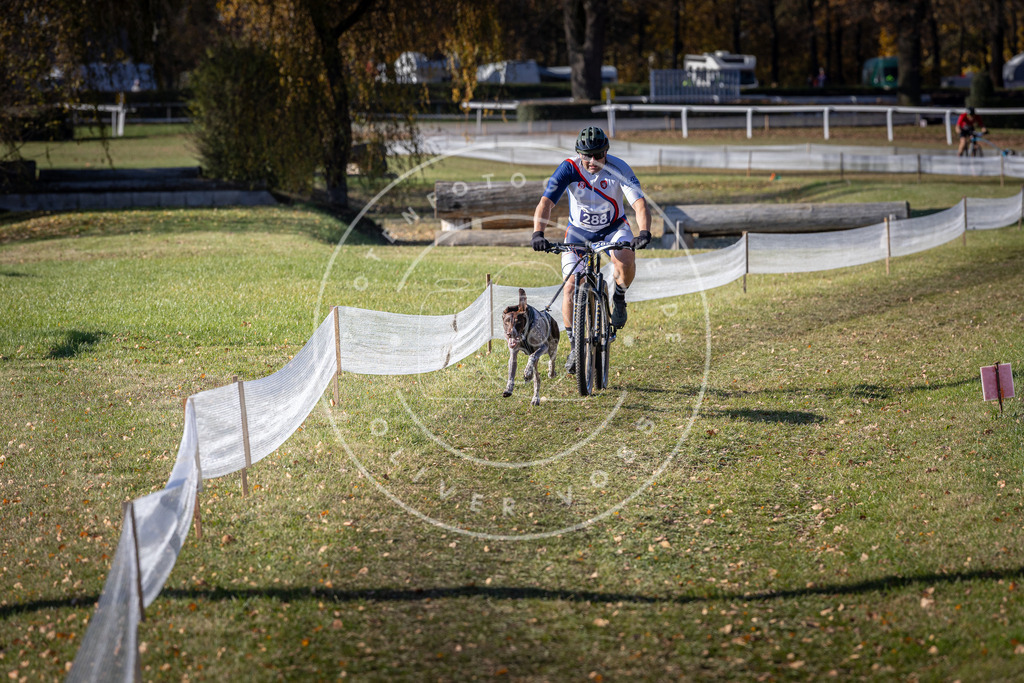 CaniXpix_DV3A5750 | Hundefotografie, Tierfotograf, Pfotenfotografie, Fotoshooting Hund, Hunde Portrait, Hundesport, Hundeportraits, Heideshooting, Hunde, Sportfotograf, Hundefotograf, Turnierhundsport, THS,  - Realisiert mit Pictrs.com