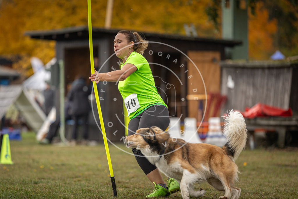Pfotenfotografie_DV3A6821 | Hundefotografie, Tierfotograf, Pfotenfotografie, Fotoshooting Hund, Hunde Portrait, Hundesport, Hundeportraits, Heideshooting, Hunde, Sportfotograf, Hundefotograf, Turnierhundsport, THS,  - Realisiert mit Pictrs.com