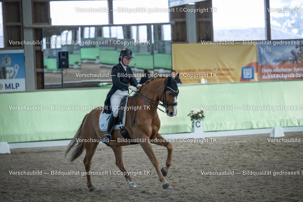 _D5A0454 | Emotionale Pferde- & People-Fotografie rund um Heidelberg, Leimen & Umgebung. Natürliche Fotos von Pferd, Mensch & Familie. Jetzt Termin sichern!