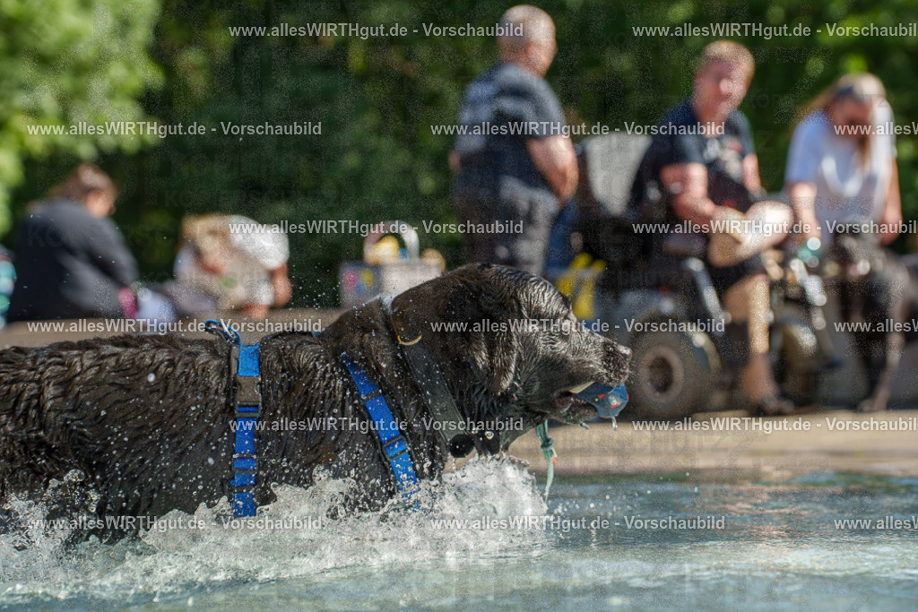 allesWIRTHgut Tierfotografie - allesWIRTHgut.de - 7IV08612 | Professionelle Tierfotografie in Mönchengladbach von Daniel Wirth (allesWIRTHgut). Liebevolle & natürliche Bilder von Hunden & Katzen für unvergessliche Erinnerungen.