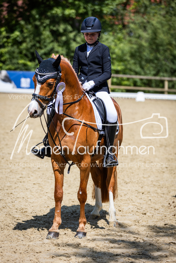 Donop24-RWB-024 | MomenTaufnahmen Pferdesportfotos
