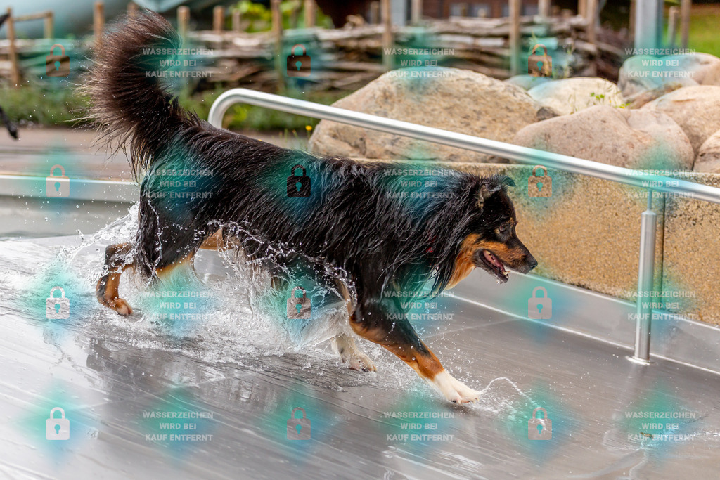 _HP_6186_fullo | HetPix, HetPix Fotodesign, Fotografie, Fotodesign, Webshop, Sportfotografie, Portraitfotografie, Onlineshop, Sportfotografie, Polch, Motorsportfotografie, Eventfotografie