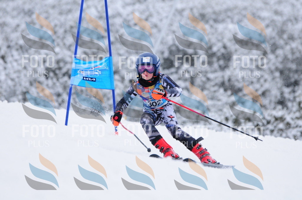 C3197 | holidayphoto