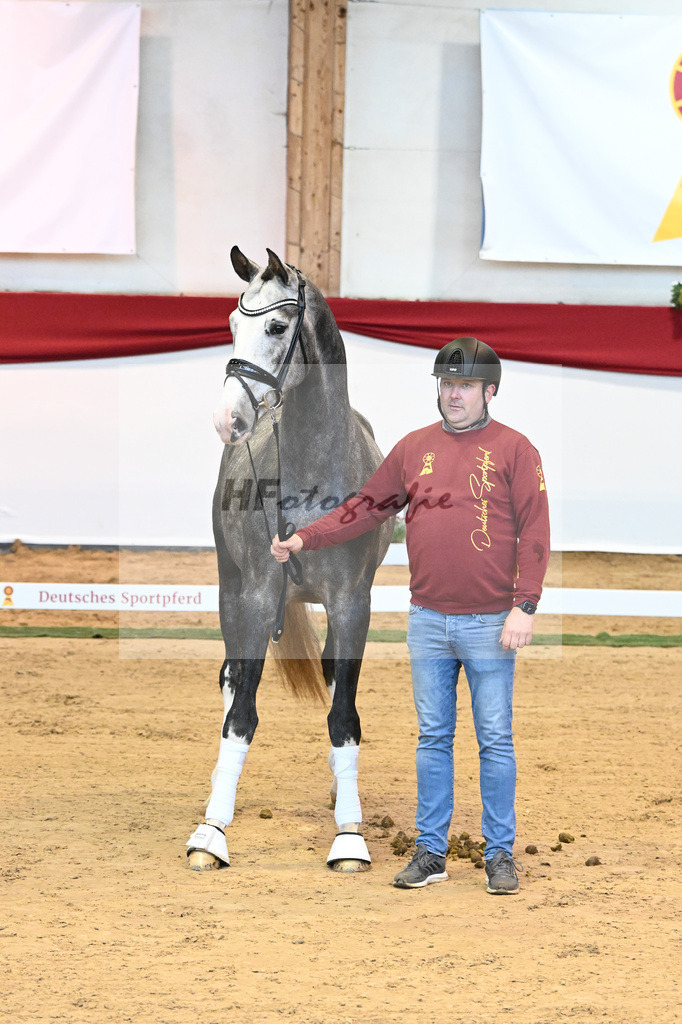 Kat-Nr. 4 Benicio x Livaldon_Schulze-Averdiek_43231545 | hf-fotografie - Realisiert mit Pictrs.com
