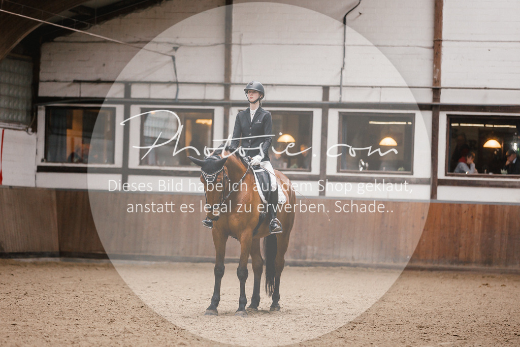 3I6A6747 | Stimmungsvolle Portraits und Reitsportfotografie im Ruhrgebiet und im Münsterland.

Pferdefotografie, Hundefotografie, Tierfotografie, Reportagen, Portraits von Tier und Mensch, Turnierfotografie in Bochum, Recklinghausen, Marl, Haltern am See, Dülmen.. - Realisiert mit Pictrs.com