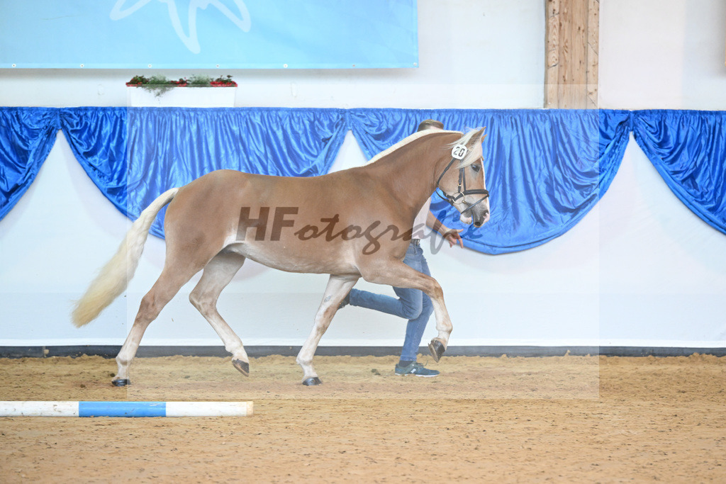 Kat-Nr. 20 nn v. Bugatti_Hock_60220770 | hf-fotografie - Realisiert mit Pictrs.com