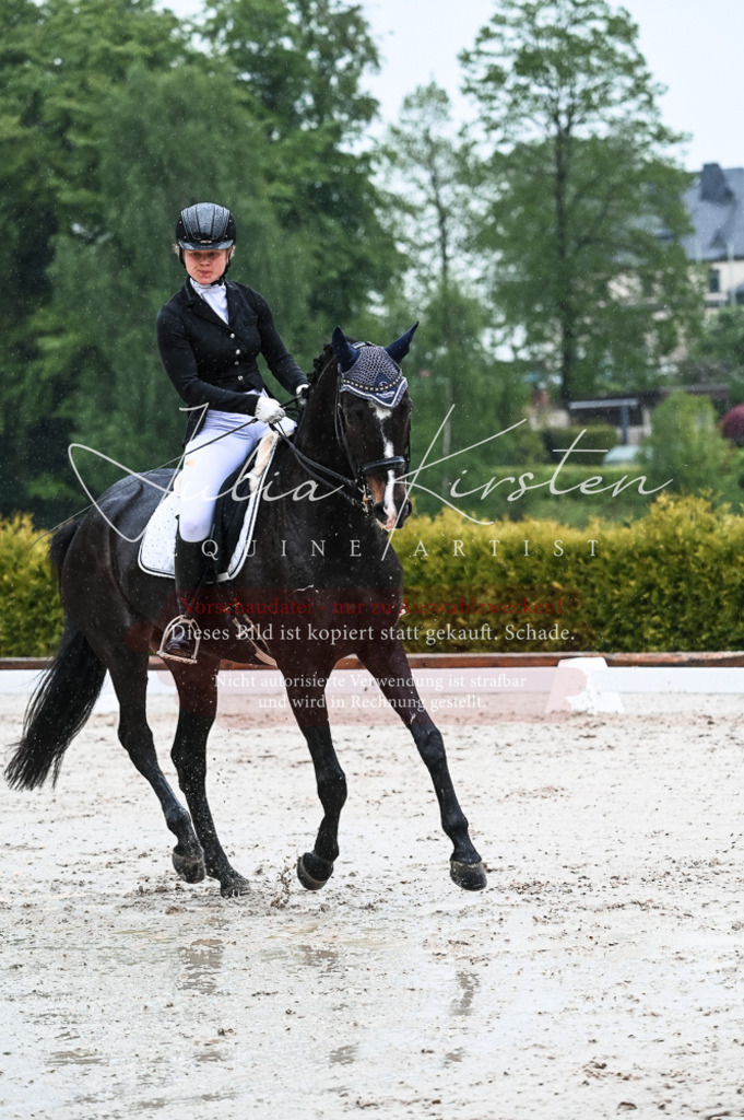 DSC_4516 | Pferde- und Turnierfotografie in Westsachsen. Pferdeportraits, Auftragszeichnungen und intuitive Kunst.