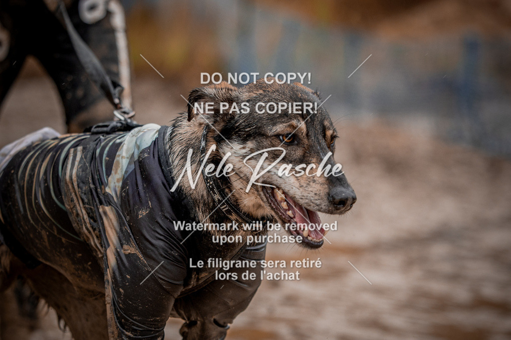 nelerasche_Creepy2025_Sa12-13_165 | nelerasche