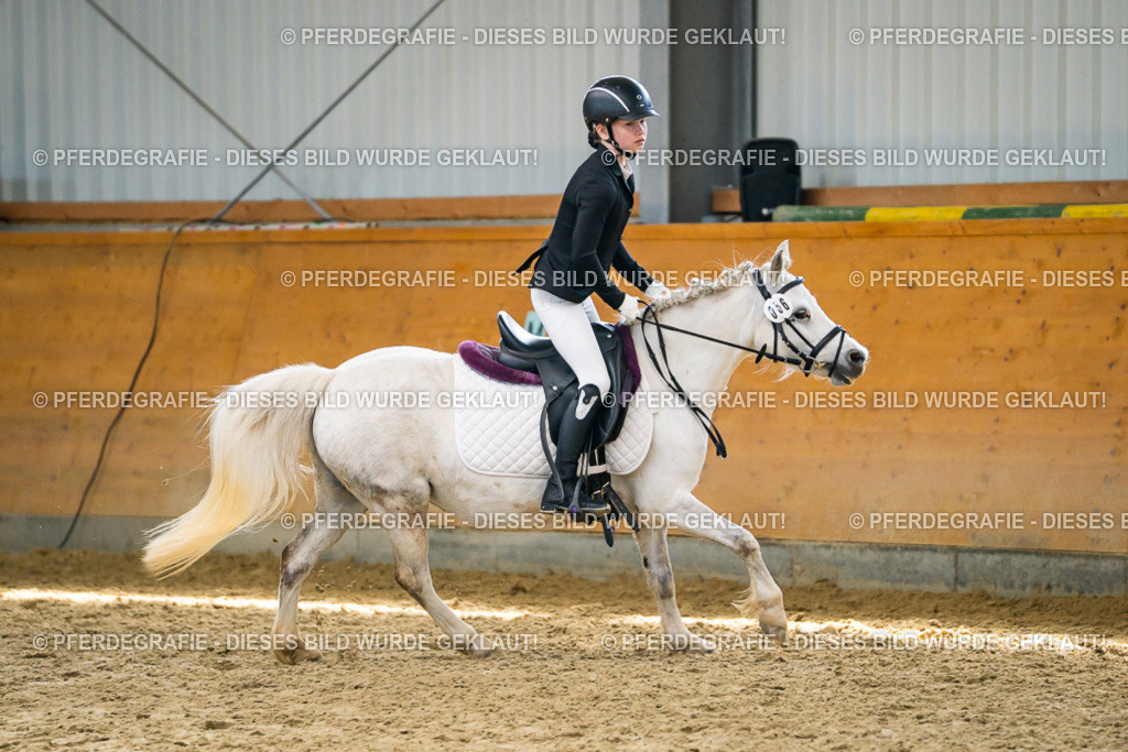 DSC02315 | Pferdegrafie