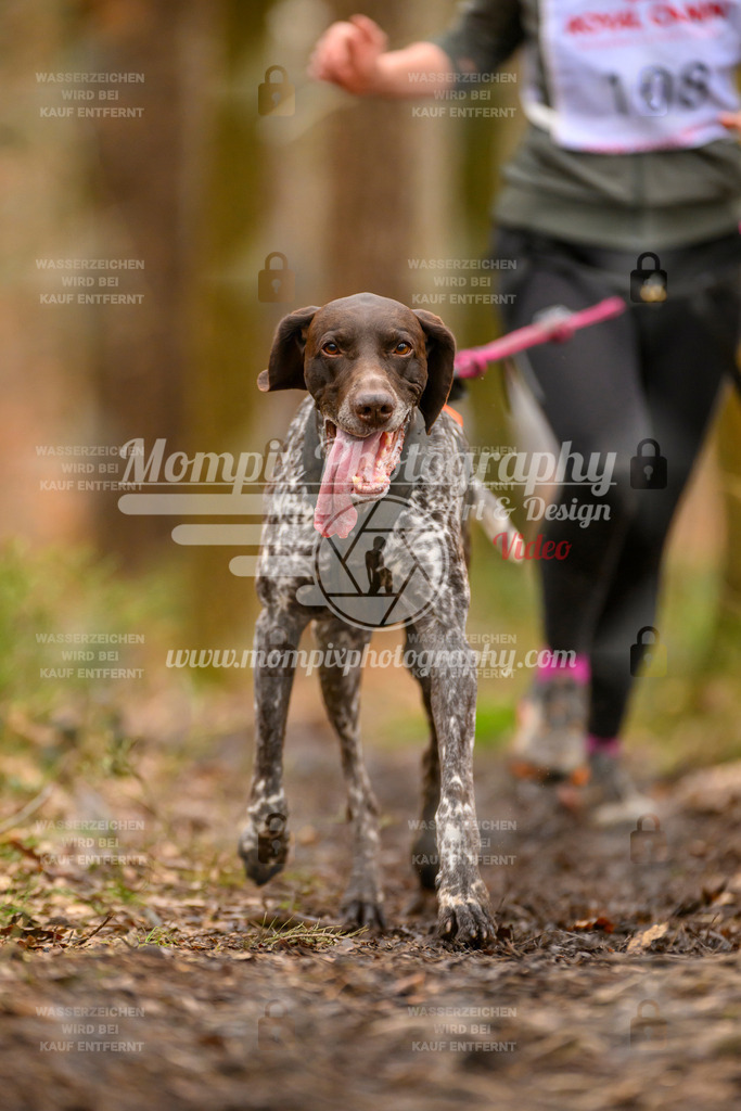 MompixPhotography_CDSM24_SA_Fun-26 | PayLife