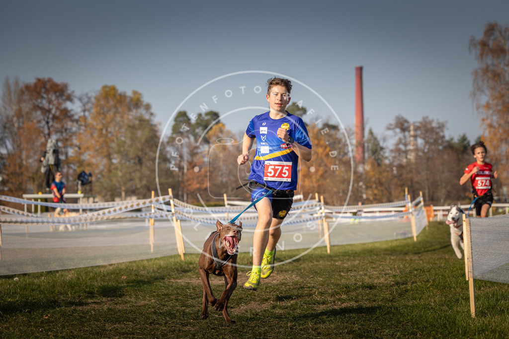 CaniXpix_0L8A9547 | Hundefotografie, Tierfotograf, Pfotenfotografie, Fotoshooting Hund, Hunde Portrait, Hundesport, Hundeportraits, Heideshooting, Hunde, Sportfotograf, Hundefotograf, Turnierhundsport, THS,  - Realisiert mit Pictrs.com
