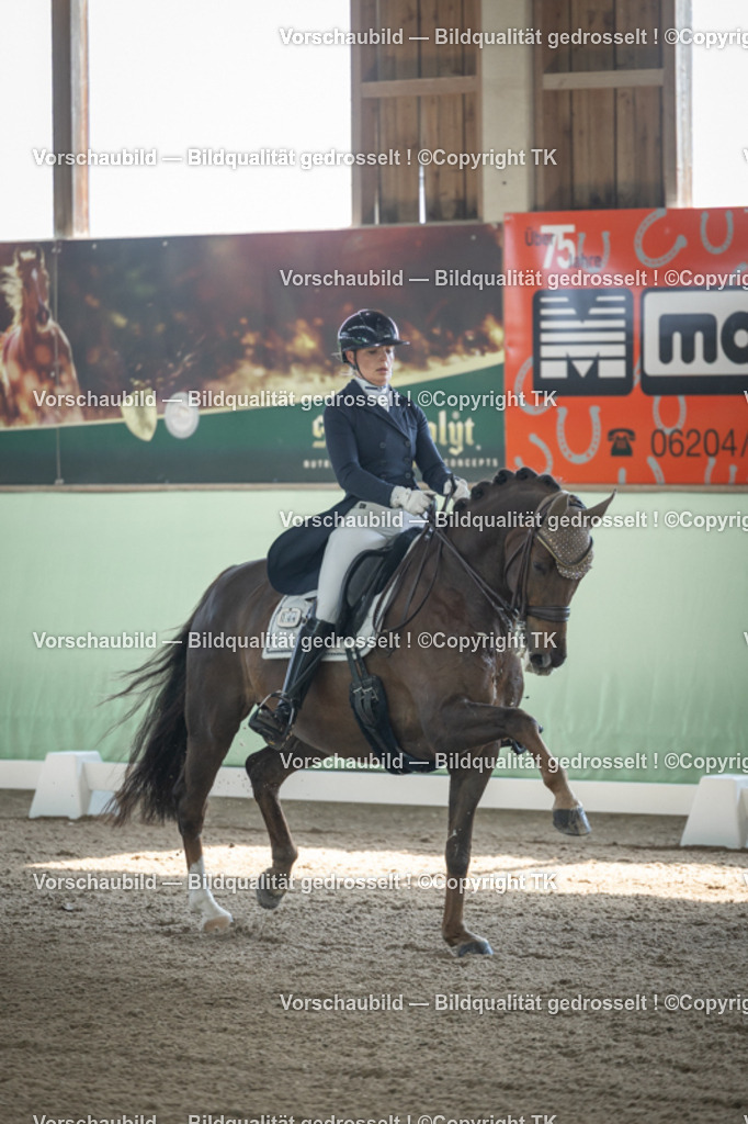 _D5A9209 | Emotionale Pferde- & People-Fotografie rund um Heidelberg, Leimen & Umgebung. Natürliche Fotos von Pferd, Mensch & Familie. Jetzt Termin sichern!