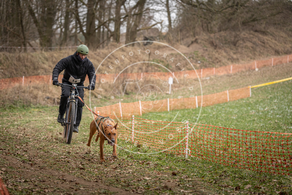 Pfotenfotografie_DV3A6825 | Hundefotografie, Tierfotograf, Pfotenfotografie, Fotoshooting Hund, Hunde Portrait, Hundesport, Hundeportraits, Heideshooting, Hunde, Sportfotograf, Hundefotograf, Turnierhundsport, THS,  - Realisiert mit Pictrs.com