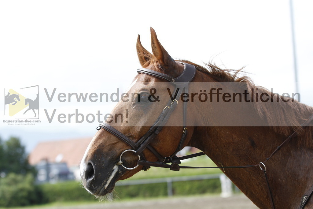 _MG_0196 | equestrian-live-com