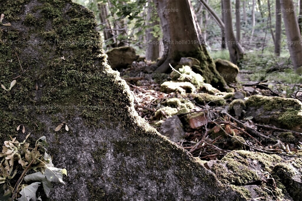 DSC_0033 (2) | Sportfotografie , Motorsport, Motoross, Reitsport, Mointainbike, Enduro,
Landschaft , Outdoor, Eventfotografie, Landschaft, Bilder online bestellen - Realisiert mit Pictrs.com
