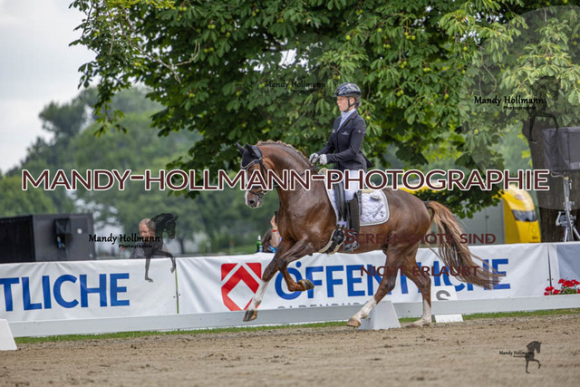 26.725 D2 49 (126 von 854) | mandyhollmannphotographie