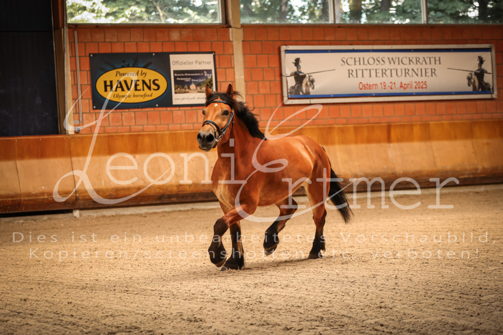SaFL00014 | Leoni Ertmer Photography - Realisiert mit Pictrs.com