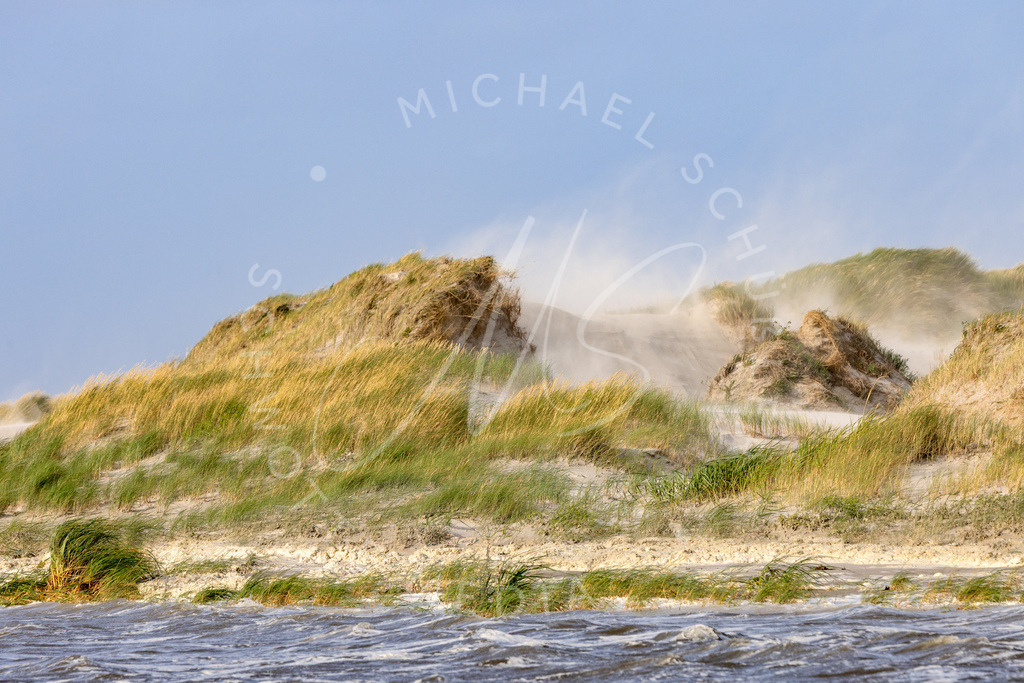 2024-08-23 SPO Sturmflut 052 | Schwotte Media - Realisiert mit Pictrs.com