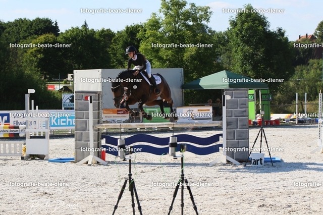OHT 2022 Röhlingen (75) | Fotografie, Tiere, Hunde, Katzen, Pferde, Sportfotografie, Fotosession, Tierfotografie, Turnierfotografie, Fotografin, Fotograf - Realisiert mit Pictrs.com