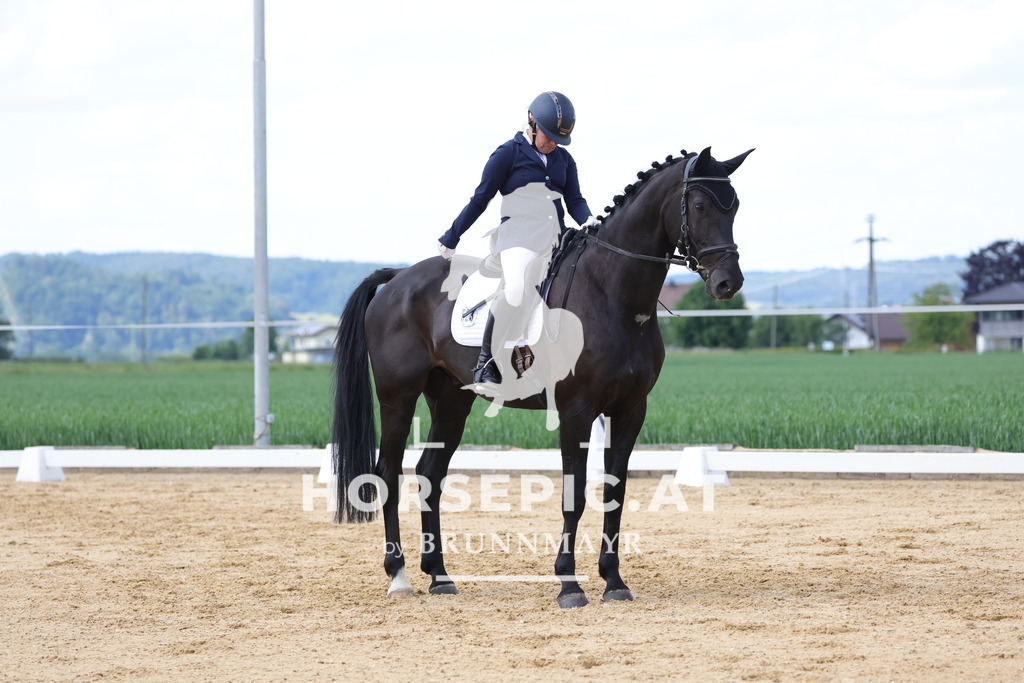 0P6A9069 | Willkommen bei Brunnmayr - Design & Fotografie – Ihrem Spezialisten für Reitturniere und Pferdeveranstaltungen in Oberösterreich, Salzburg und Bayern! Seit über 17 Jahren sind wir leidenschaftlich dabei.