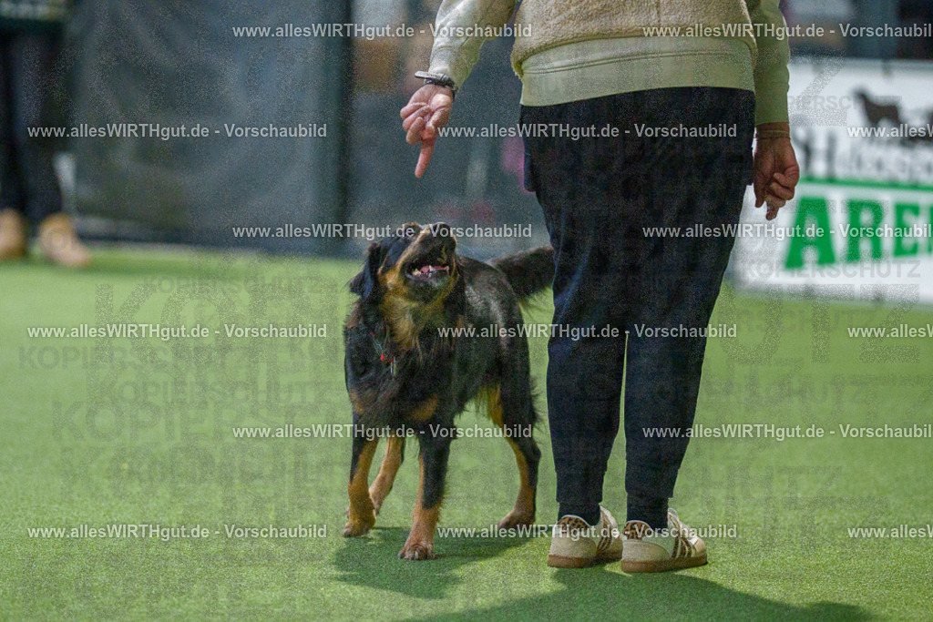 7R505436 | Professionelle Tierfotografie in Mönchengladbach von Daniel Wirth (allesWIRTHgut). Liebevolle & natürliche Bilder von Hunden & Katzen für unvergessliche Erinnerungen.