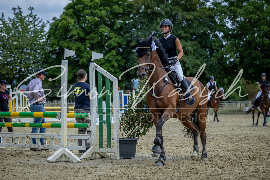 20260704-_3LI1238 | Tierfotografie Pferde, Hunde, Katzen, Haustiere.
Turnierfotografie Reitturniere, Reiten, Springreiten, Dressur in Hanau, dem Main-Kinzig-Kreis und dem Rhein-Main- Gebiet um Frankfurt