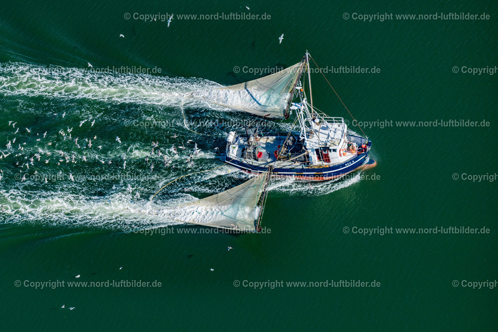 Norderney_Krabbenkutter_Acc_2_Emma_ELS_5879050923 | NORDERNEY 05.09.2023 Krabbenkutter in Fahrt " ACC 2 Emma " in den Prilen vor Norderney im Bundesland Niedersachsen, Deutschland. // Shrimp cutter in motion "ACC 2 Emma" in the Prilen off Norderney in the state of Lower Saxony, Germany. Foto: Martin Elsen