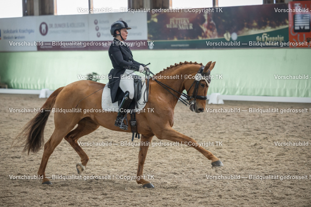 _D5A6483 | Emotionale Pferde- & People-Fotografie rund um Heidelberg, Leimen & Umgebung. Natürliche Fotos von Pferd, Mensch & Familie. Jetzt Termin sichern!