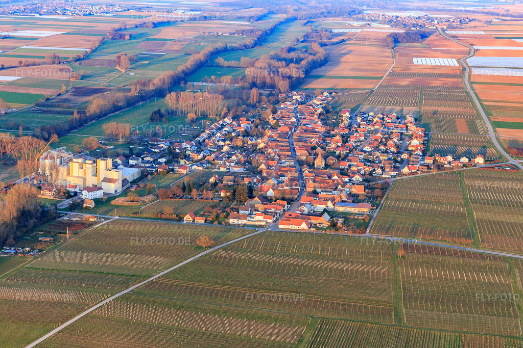 Luftbild: Dorfansicht aus Westen in Freimersheim im Bundesland Rheinland-Pfalz in Deutschland. Foto: IMG_105197.jpg vom 24.03.2018 durch Werner Riehm/FLY-FOTO.de