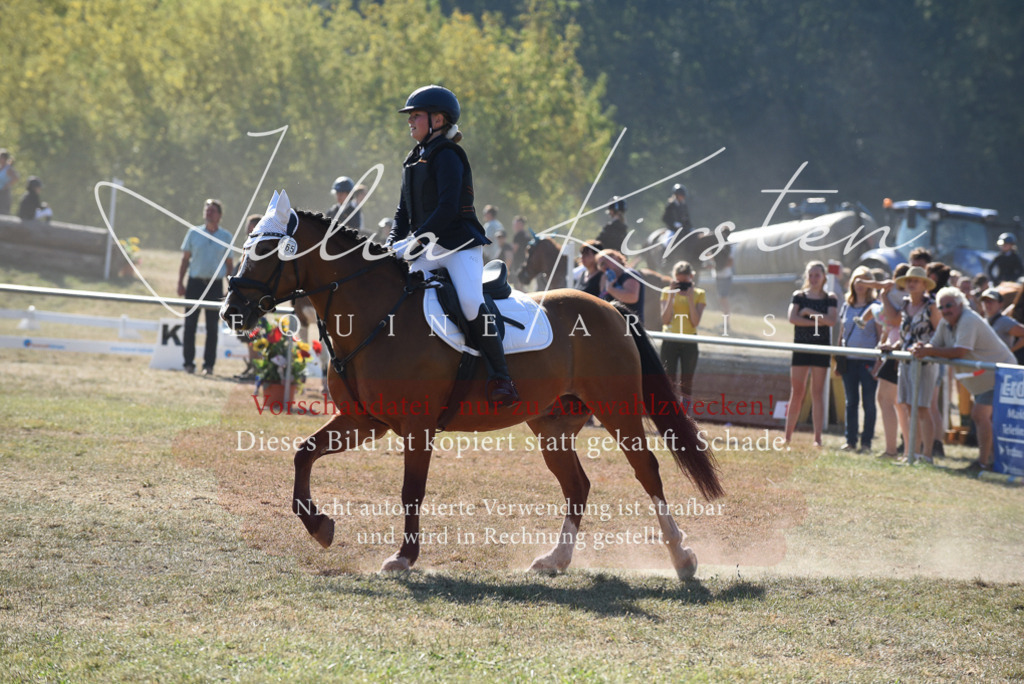 DSC_6017 | Pferde- und Turnierfotografie in Westsachsen. Pferdeportraits, Auftragszeichnungen und intuitive Kunst.