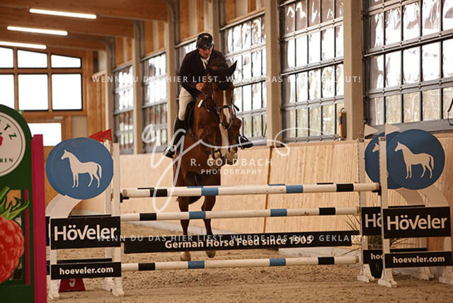 1J2A7844Mathias Wandschneider_ Felix 2367_ Kn249_ Glantz_ Hohen Wieschendorf | Foto- und Videografie für alles rund ums Pferd. Hochwertige Bilder und Videos vom Spring- und Dressurreiten, Voltigieren & mehr. Jetzt aktuelle Veranstaltungen und Preise im Shop ansehen. - Realisiert mit Pictrs.com
