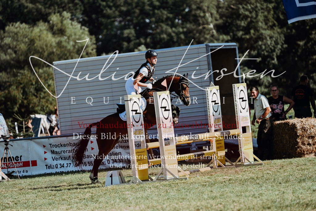 DSC_6822 | Pferde- und Turnierfotografie in Westsachsen. Pferdeportraits, Auftragszeichnungen und intuitive Kunst.