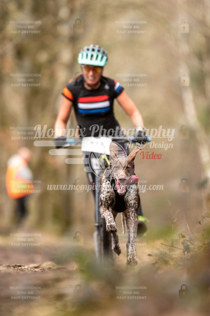 SPA_2023_SAM_Scooter-39 | PayLife