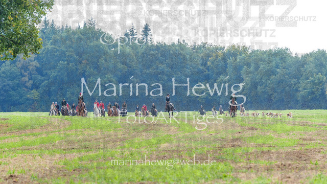 Jagd Perdoel_MarinaHewigMCH04856 | Fotografie, FotoArt, PferdesportArt, Pferdesportfotografie, Landschaftsfotografie, Reisefotografie, Reise, Pferde - Realisiert mit Pictrs.com