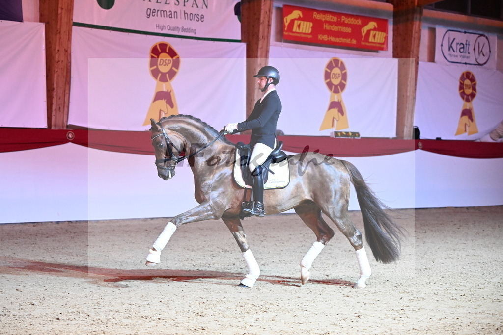 Feliciano_Wadenspanner_2254404 | hf-fotografie - Realisiert mit Pictrs.com