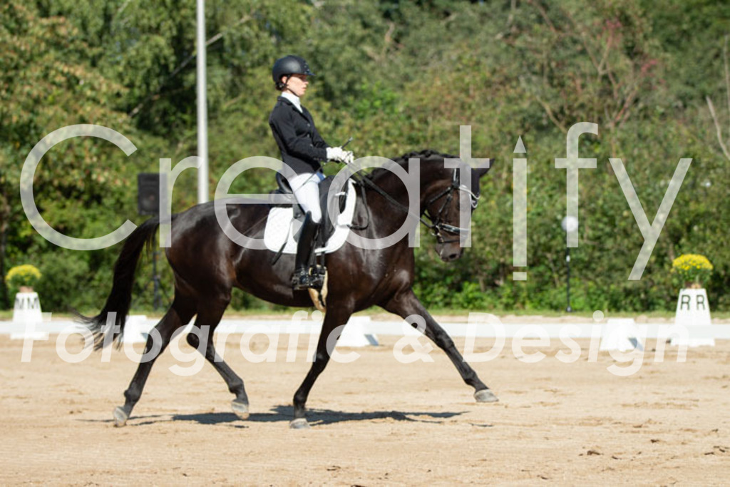 IMG_4812 | Creatify Fotografie