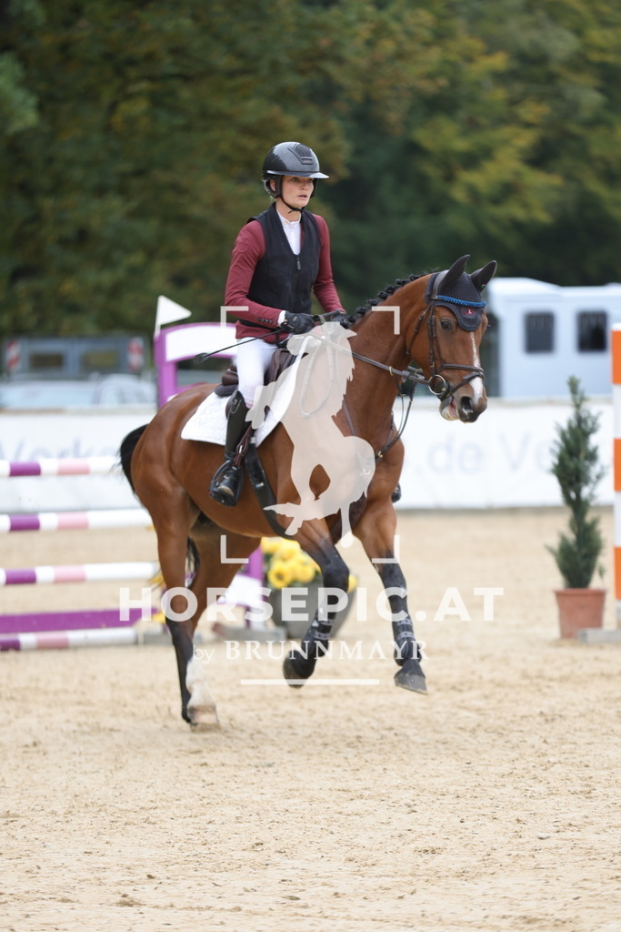 0P6A3088 | Willkommen bei Brunnmayr - Design & Fotografie – Ihrem Spezialisten für Reitturniere und Pferdeveranstaltungen in Oberösterreich, Salzburg und Bayern! Seit über 17 Jahren sind wir leidenschaftlich dabei.