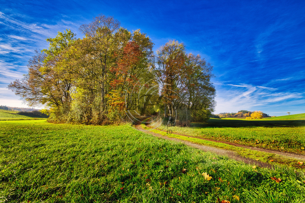 5X0A6212 (1) | Frank Herberich Fotografie, Frank Herberich, Fotografie, Hochzeit, Portrait, St. Peter Ording, Ording, Westerhever, Nordsee, Frank Fotografie, Hardheim,  Odenwald,Walldürn, Band,Eventfotografie - Realized with Pictrs.com